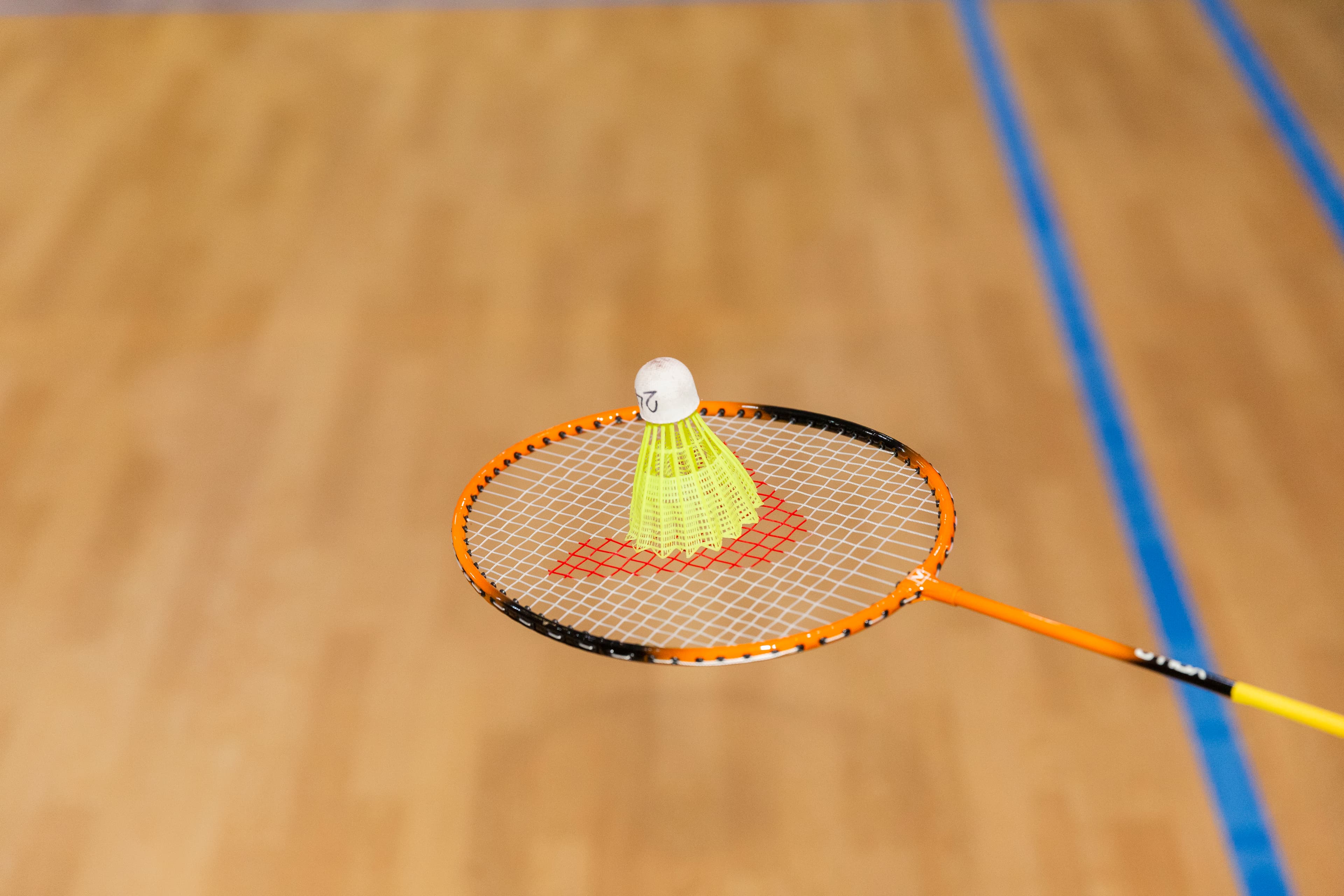 Recreação Monitorada de Badminton
