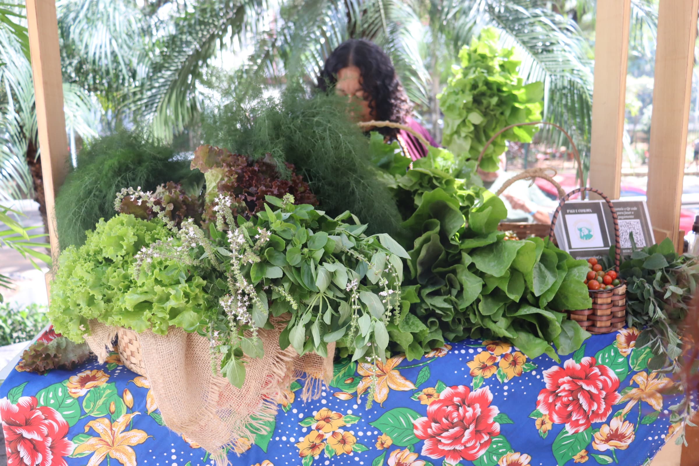 Vem fazer a Feira! Mãos que alimentam, independência com sabor e autonomia